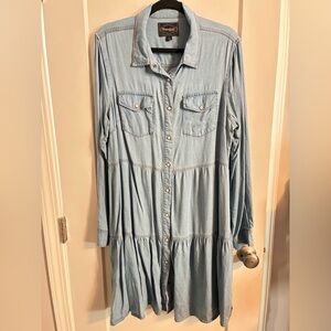 Threadgrit Light Wash Denim Button-Front Shirt Dress